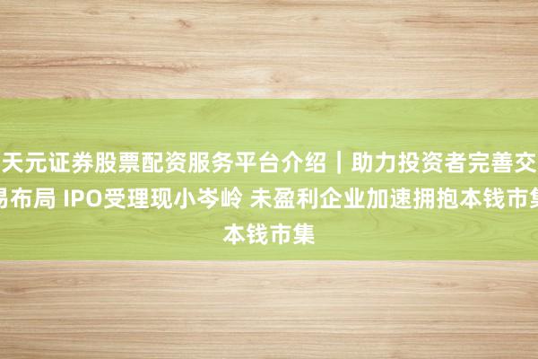 天元证券股票配资服务平台介绍｜助力投资者完善交易布局 IPO受理现小岑岭 未盈利企业加速拥抱本钱市集